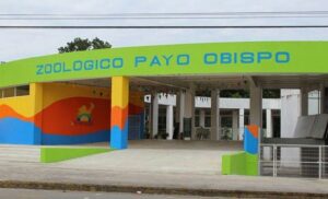 zoologico-payo-obispo-chetumal-galeria-min