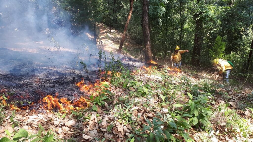 incendio_forestal_morelos_notimex.jpg_554688468 (1)