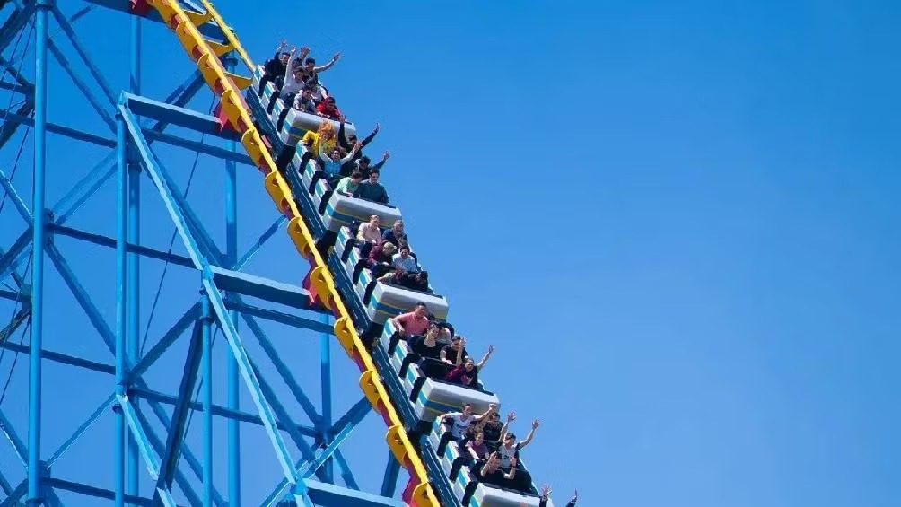 WhatsApp Image 2024-12-30 at 09.28.43