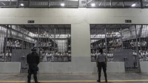 WhatsApp Image 2025-02-04 at 07.48.22