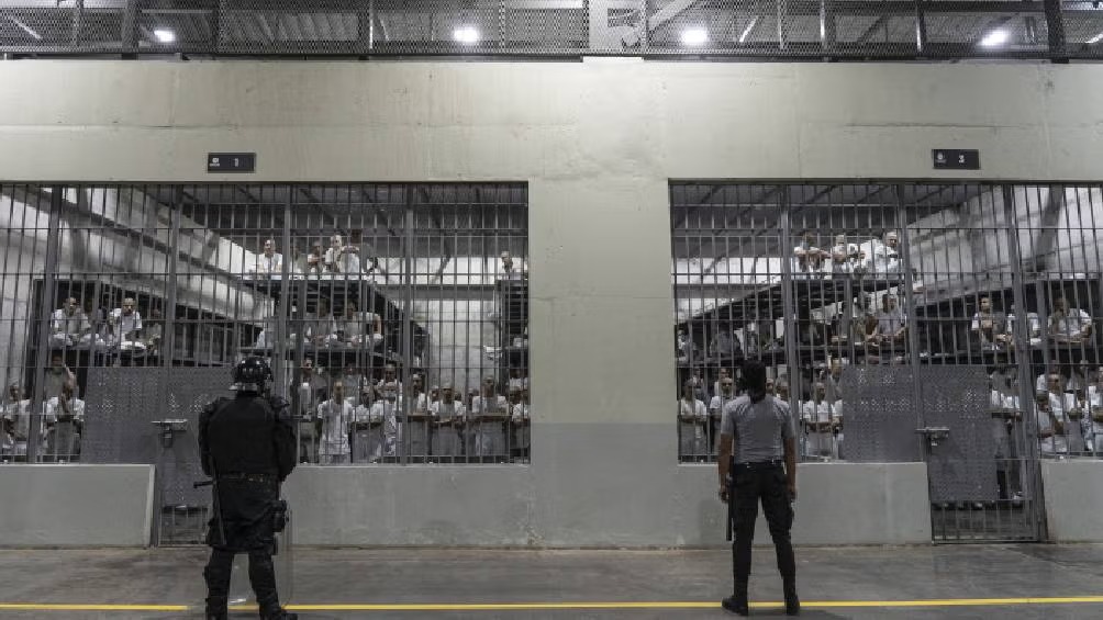 WhatsApp Image 2025-02-04 at 07.48.22