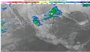 WhatsApp Image 2025-03-02 at 09.10.54