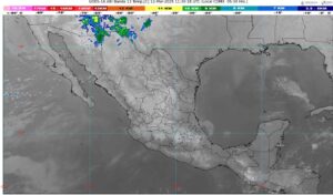 WhatsApp Image 2025-03-12 at 07.13.22