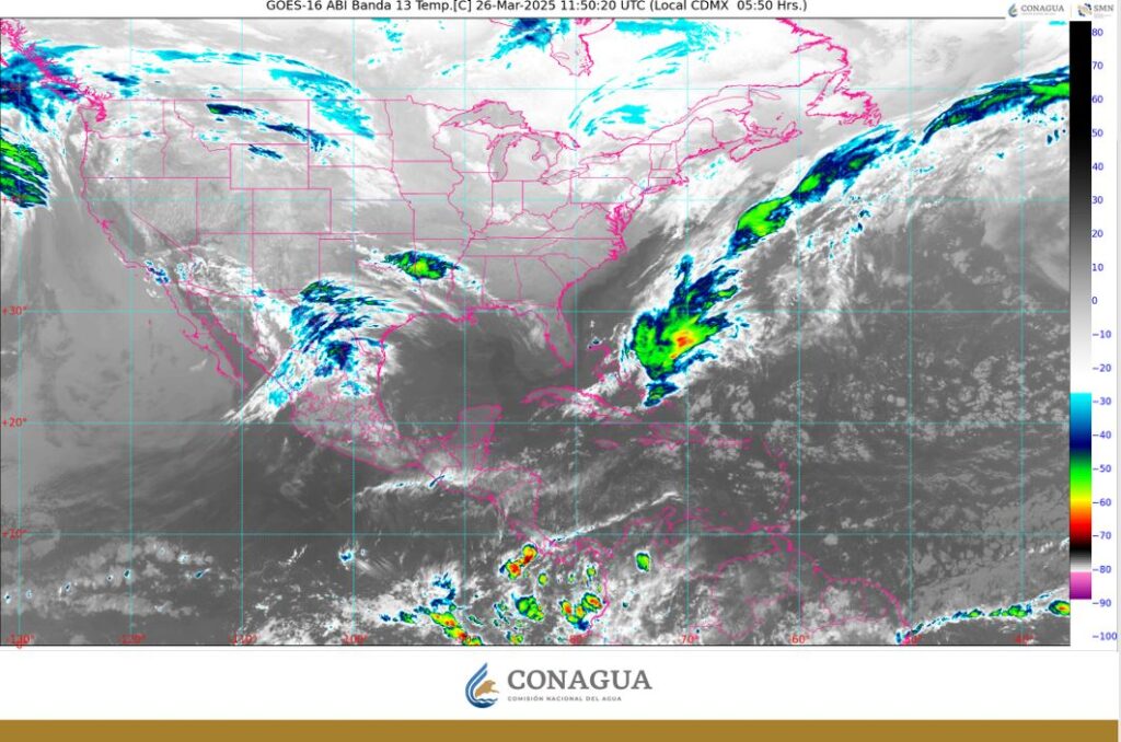 WhatsApp Image 2025-03-26 at 07.29.50