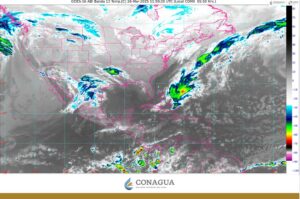 WhatsApp Image 2025-03-26 at 07.29.50