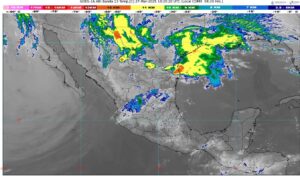 WhatsApp Image 2025-03-27 at 07.27.41