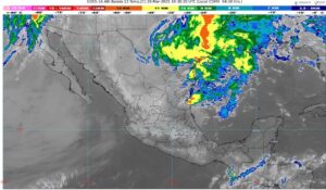 WhatsApp Image 2025-03-28 at 07.44.33