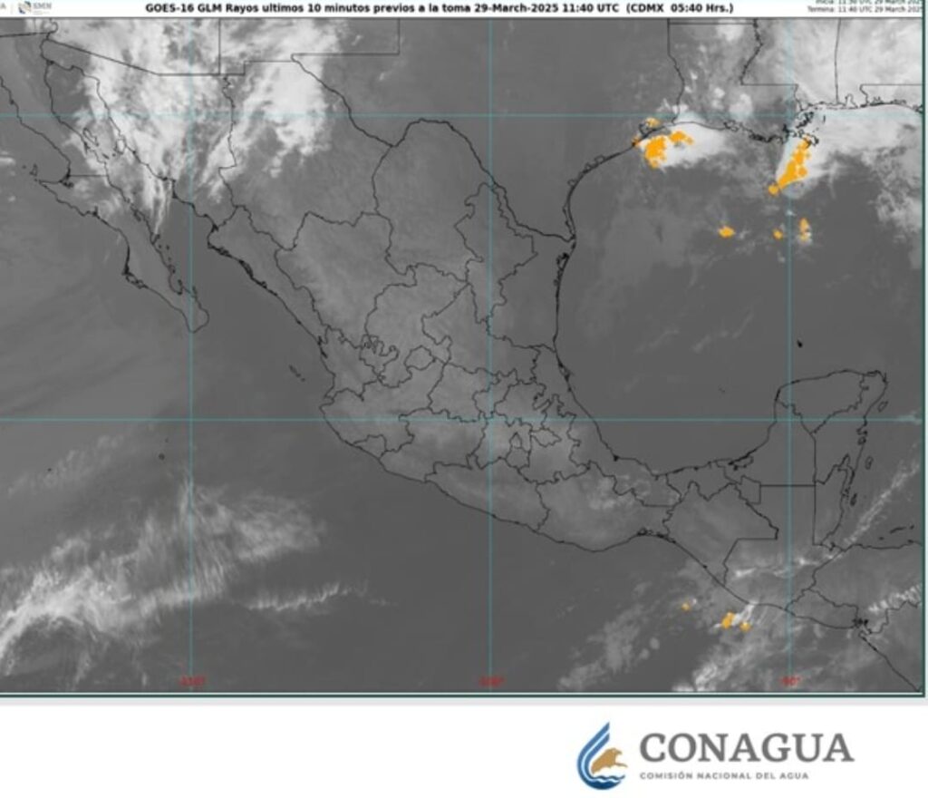 WhatsApp Image 2025-03-29 at 08.45.05