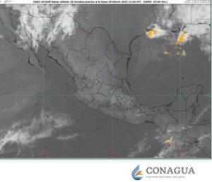 WhatsApp Image 2025-03-29 at 08.45.05