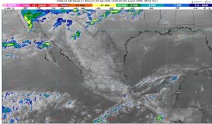 WhatsApp Image 2025-04-01 at 07.14.58