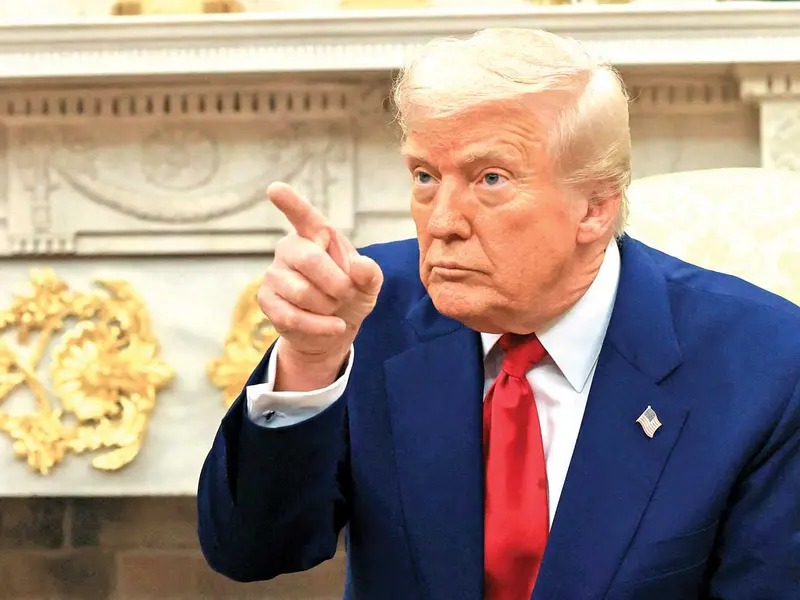 WhatsApp Image 2025-04-08 at 11.38.19