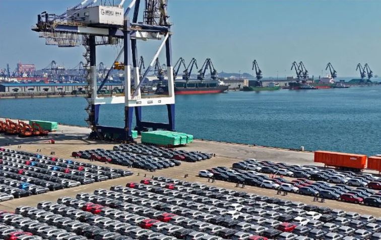 WhatsApp Image 2025-04-11 at 11.52.21