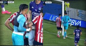 WhatsApp Image 2025-04-12 at 09.43.01