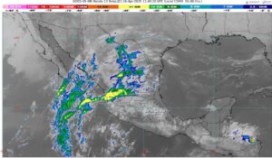 WhatsApp Image 2025-04-16 at 08.07.49