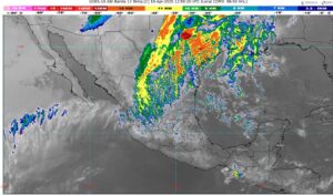 WhatsApp Image 2025-04-19 at 08.30.58