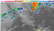 WhatsApp Image 2025-04-23 at 08.00.05