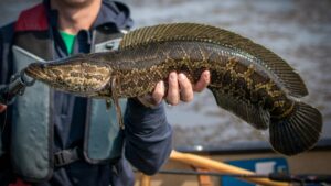 WhatsApp Image 2025-04-24 at 11.15.07