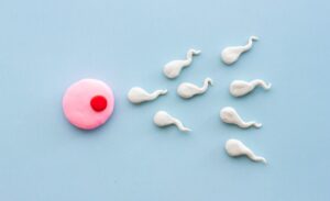 WhatsApp Image 2025-04-25 at 10.03.45