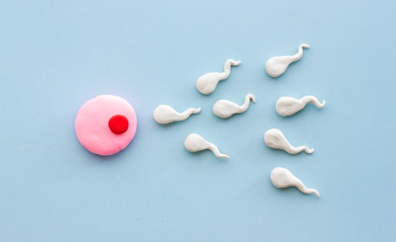 WhatsApp Image 2025-04-25 at 10.03.45