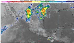 WhatsApp Image 2025-04-28 at 07.28.04