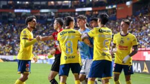 WhatsApp Image 2025-04-28 at 08.31.19