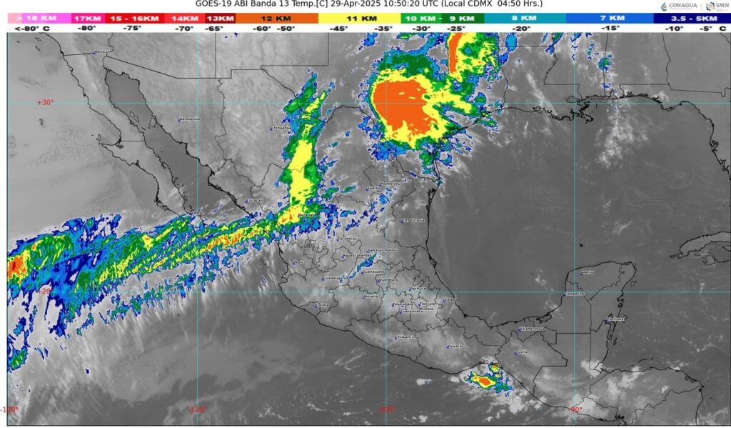 WhatsApp Image 2025-04-29 at 07.20.31