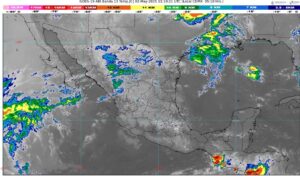 WhatsApp Image 2025-05-02 at 07.27.45