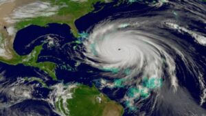 WhatsApp Image 2025-05-02 at 10.08.00