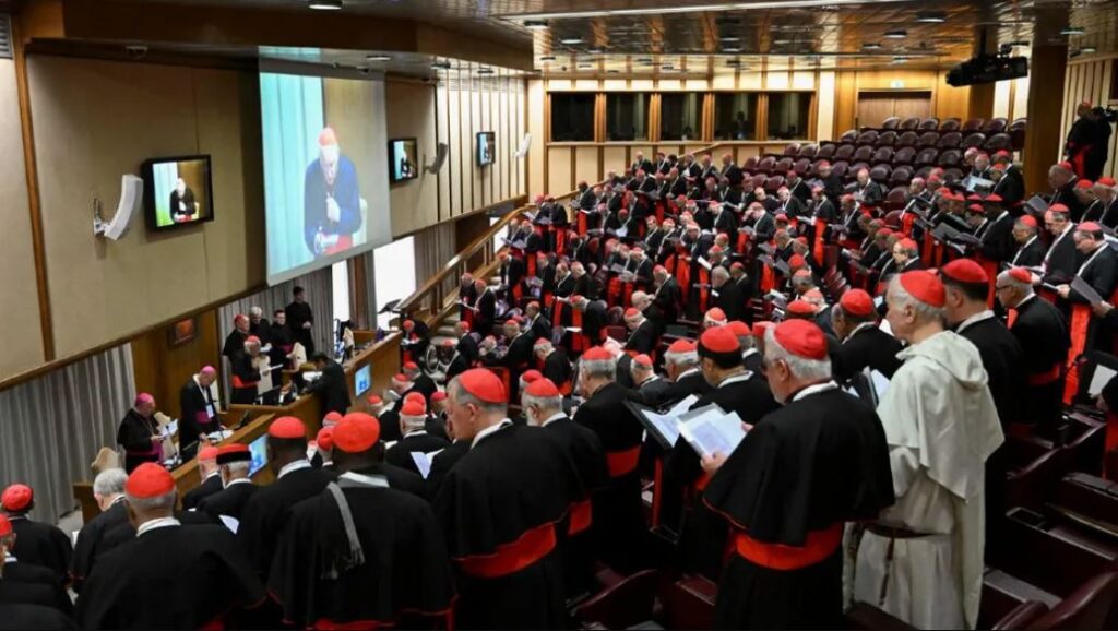 WhatsApp Image 2025-05-06 at 08.49.50