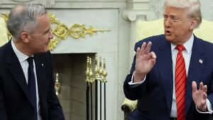 WhatsApp Image 2025-05-07 at 09.41.26