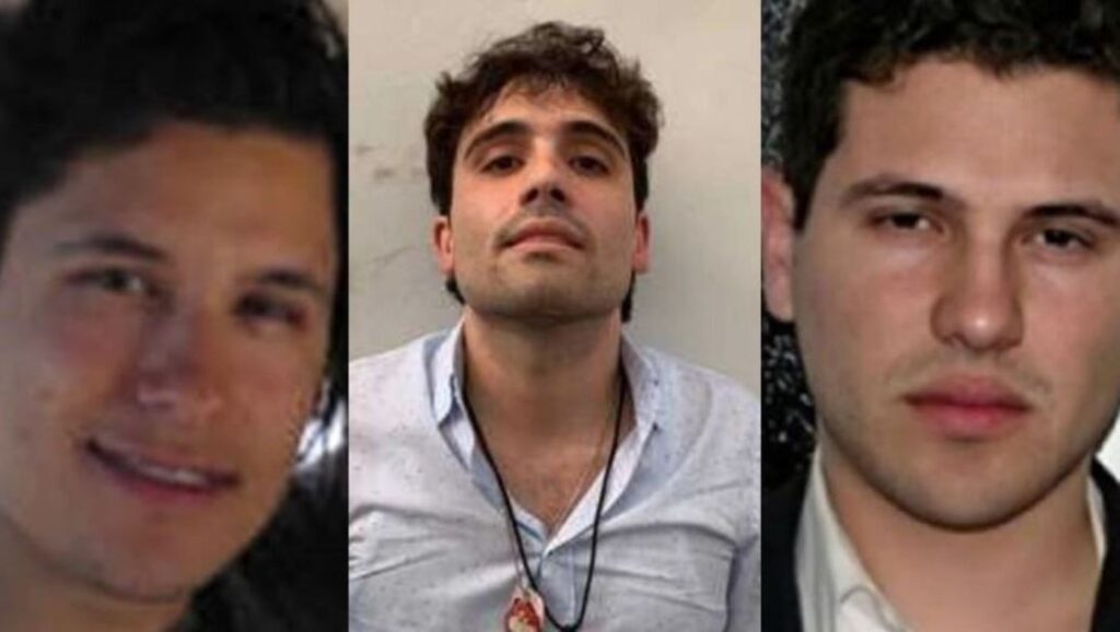 WhatsApp Image 2025-05-10 at 08.57.34