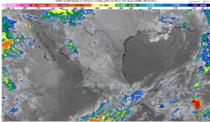 WhatsApp Image 2025-05-12 at 07.11.38