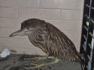 WhatsApp Image 2025-05-13 at 12.24.47