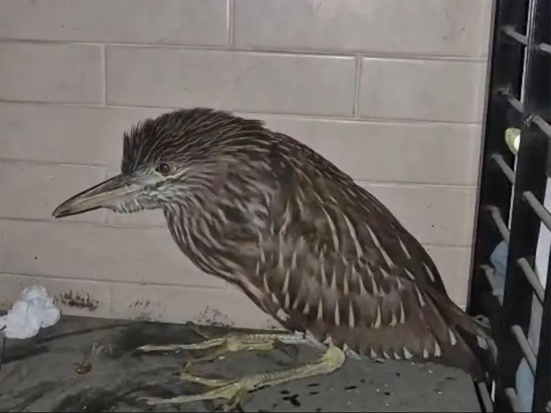 WhatsApp Image 2025-05-13 at 12.24.47