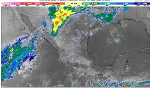 WhatsApp Image 2025-05-15 at 08.00.32