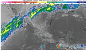 WhatsApp Image 2025-05-16 at 07.12.12 (1)