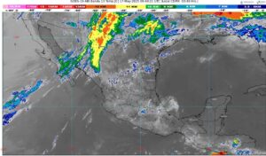 WhatsApp Image 2025-05-17 at 07.09.34