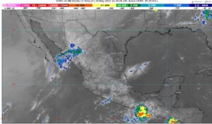 WhatsApp Image 2025-05-20 at 07.35.59