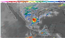 WhatsApp Image 2025-05-21 at 07.19.34