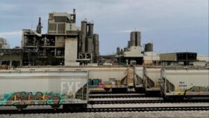 WhatsApp Image 2025-05-22 at 08.47.29