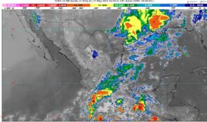 WhatsApp Image 2025-05-27 at 07.23.37