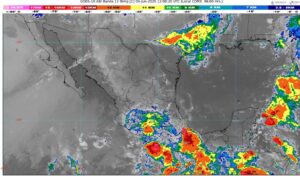 WhatsApp Image 2025-06-04 at 08.14.24