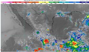 WhatsApp Image 2025-06-05 at 07.25.20