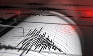 WhatsApp Image 2025-06-05 at 11.00.33