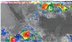 WhatsApp Image 2025-06-09 at 07.35.03