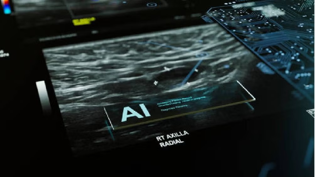 WhatsApp Image 2025-06-09 at 07.51.55