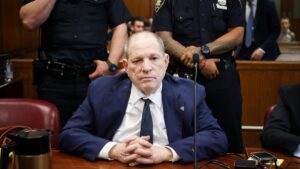 WhatsApp Image 2025-06-12 at 10.51.10