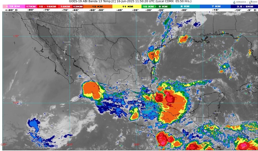 WhatsApp Image 2025-06-16 at 07.54.25 (1)