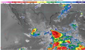 WhatsApp Image 2025-06-17 at 07.45.00