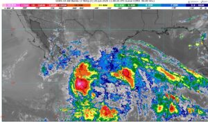 WhatsApp Image 2025-06-20 at 07.54.12